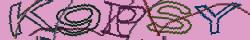 Retype the CAPTCHA code from the image